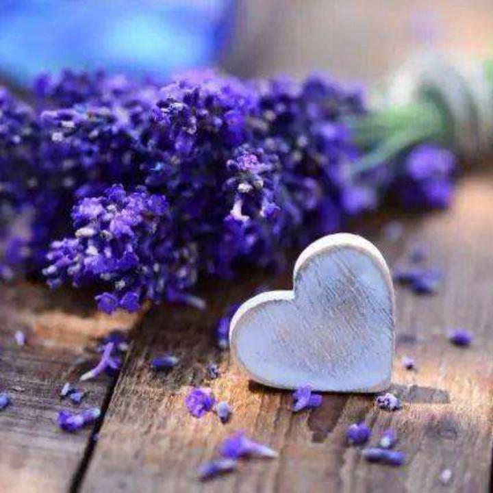 十品香盛世观澜店