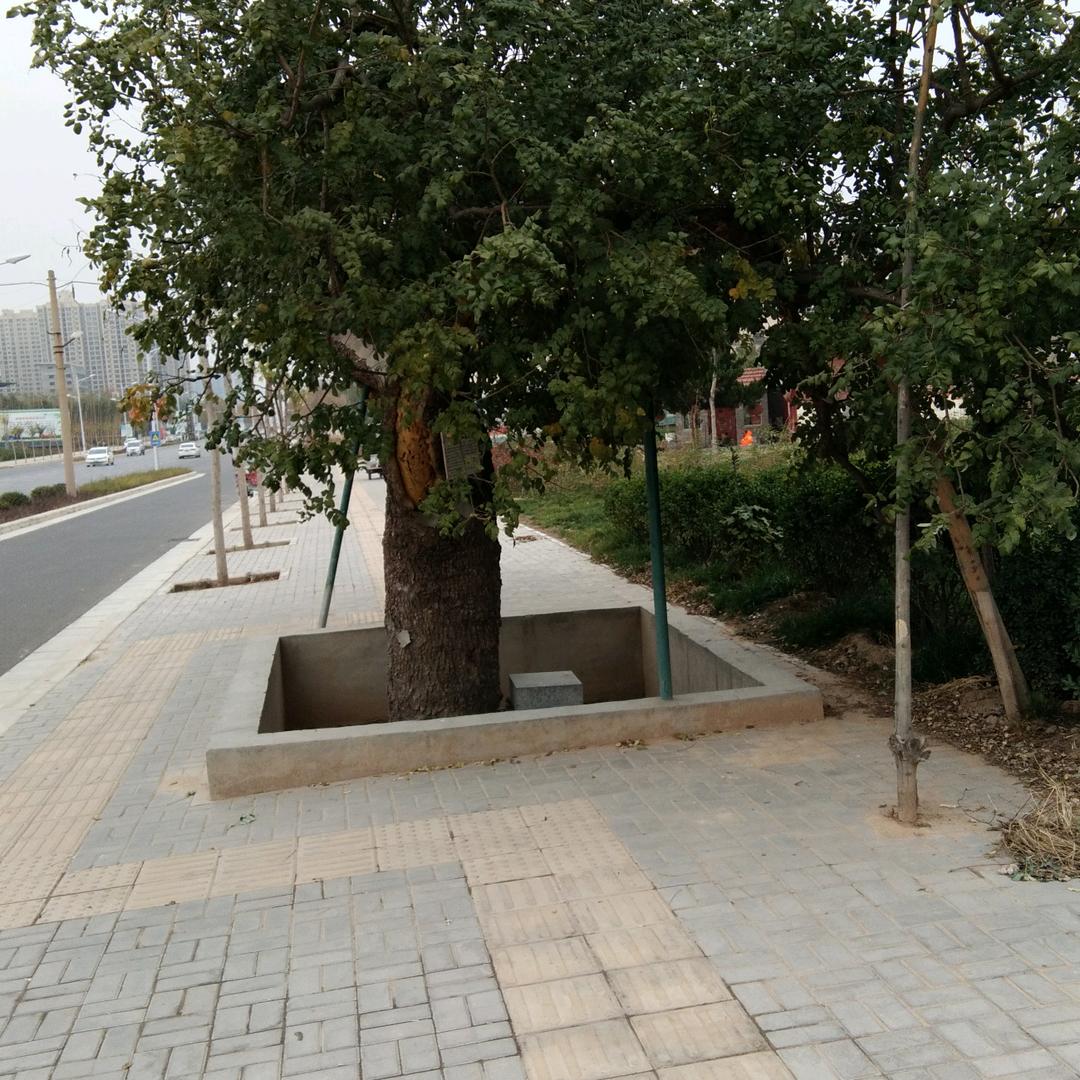 往事只能回味