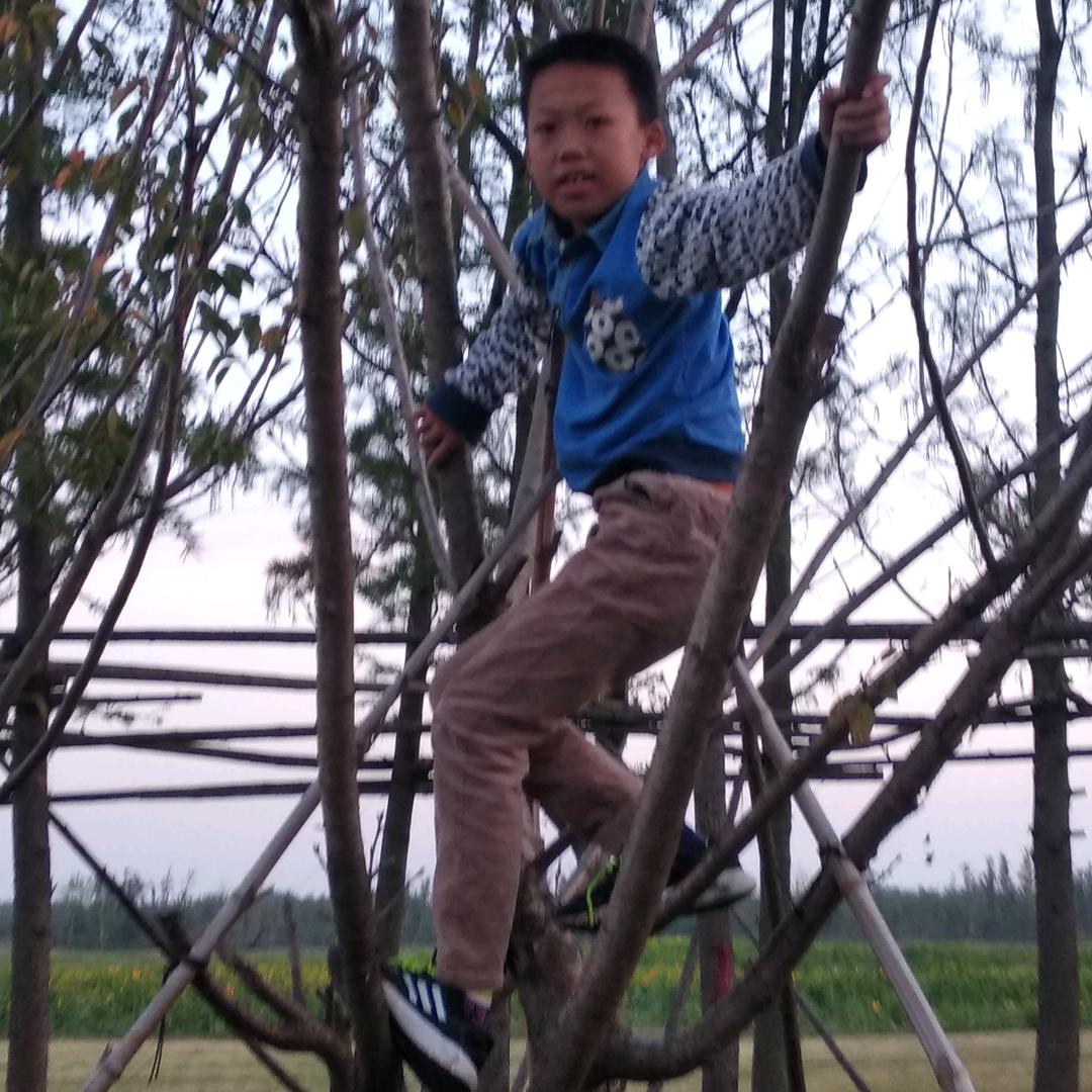 丅ang