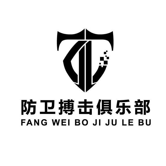 山西淘治安全防卫技术有限公司