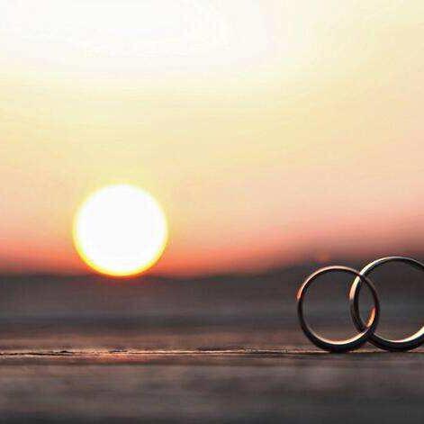 ღ᭄ꦿ猪儿ৡღ᭄ꦿ ৡ