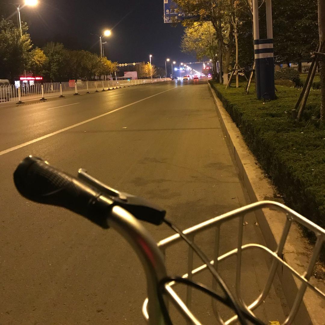 一群小鱼干
