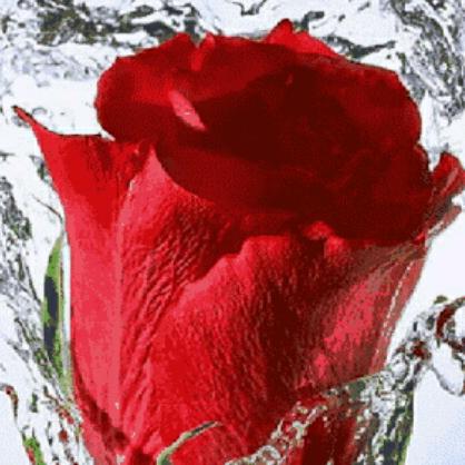 私家装饰(专业装修二十年)。