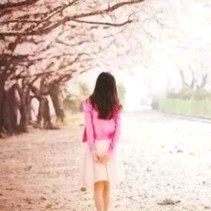 齐家雨后彩虹