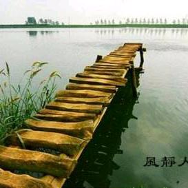 孤雁