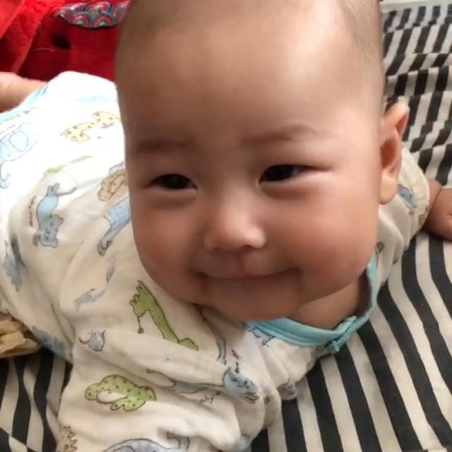 龙飞凤舞