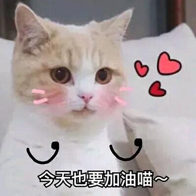 我的小鹿撞死了