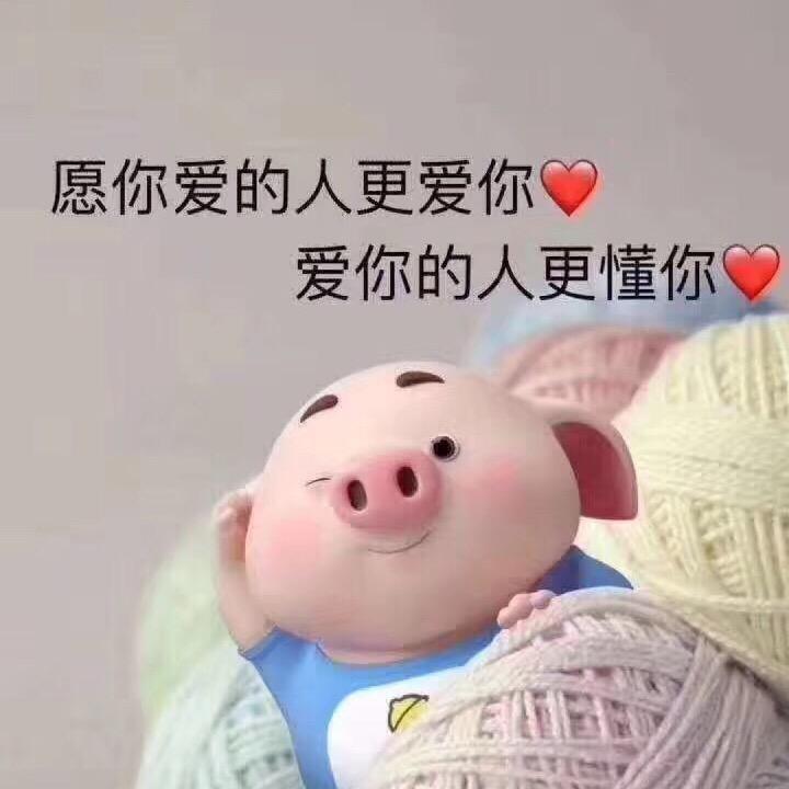 Agnoi