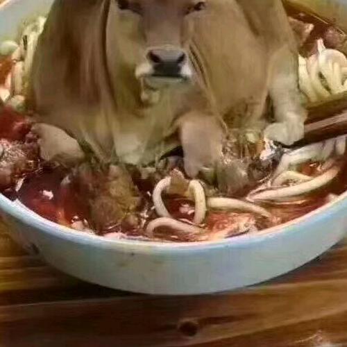 万事可乐