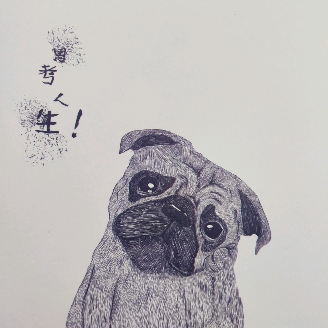 任性的任性