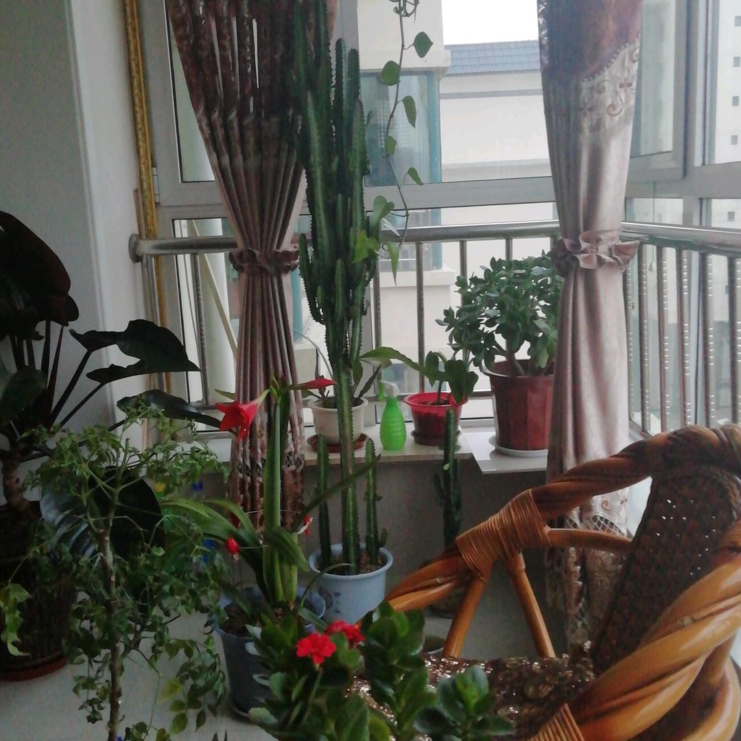 有缘相聚（顾）