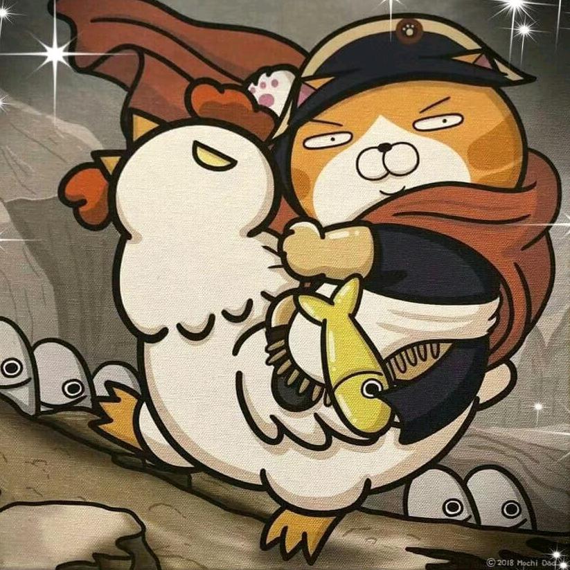 胡小磨
