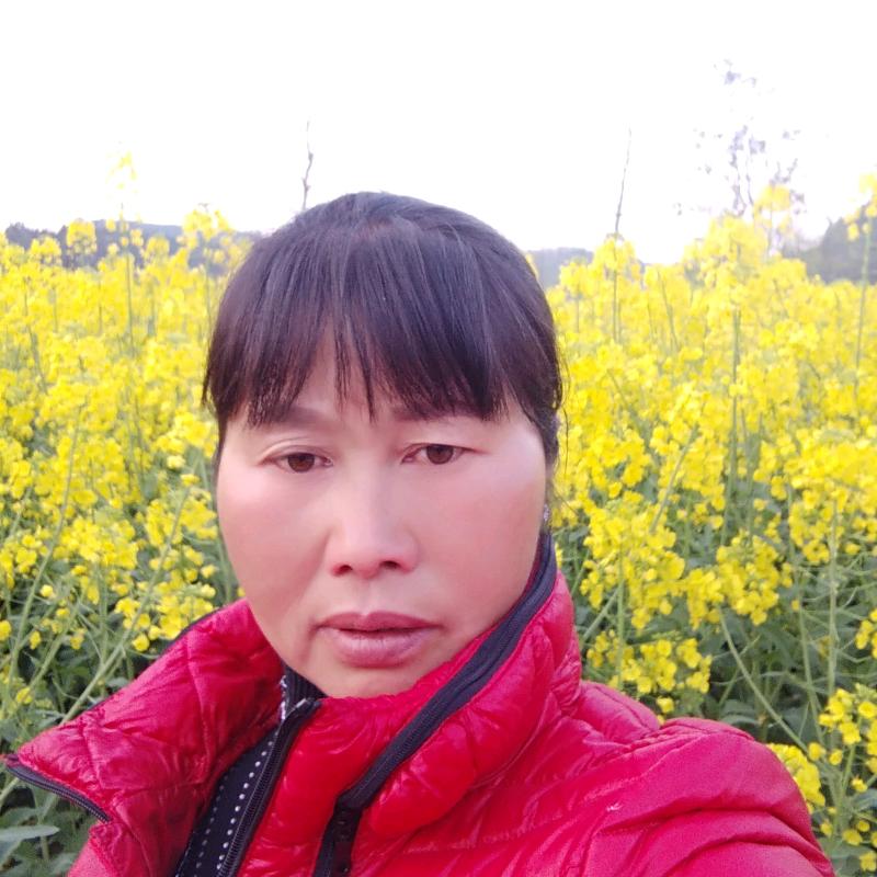 开开心心每一天