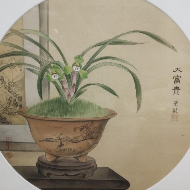 浙江叠翠兰花