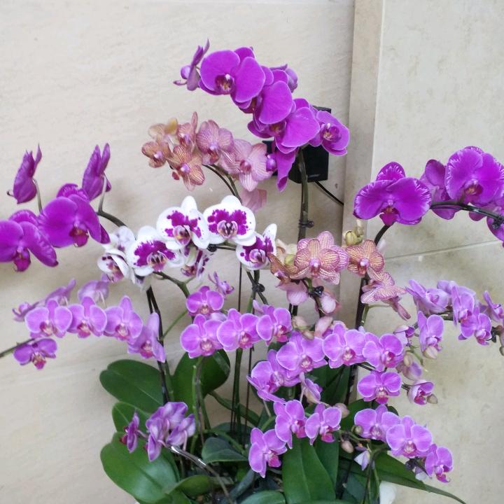 美好的未来， 有你相伴 。