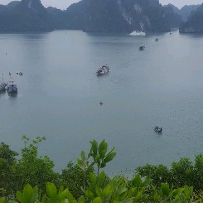 新集万家福