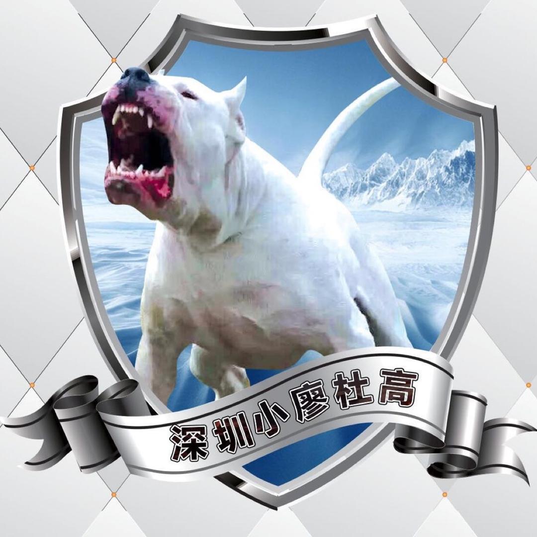 小廖_杜高