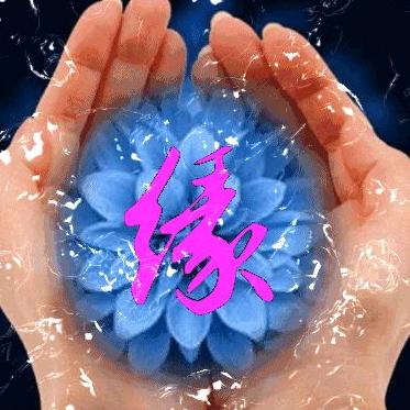 🐉顺其自然🐉