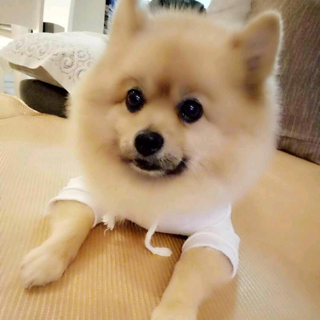 梦云