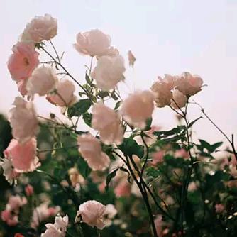 用户6857655550283海阔天空