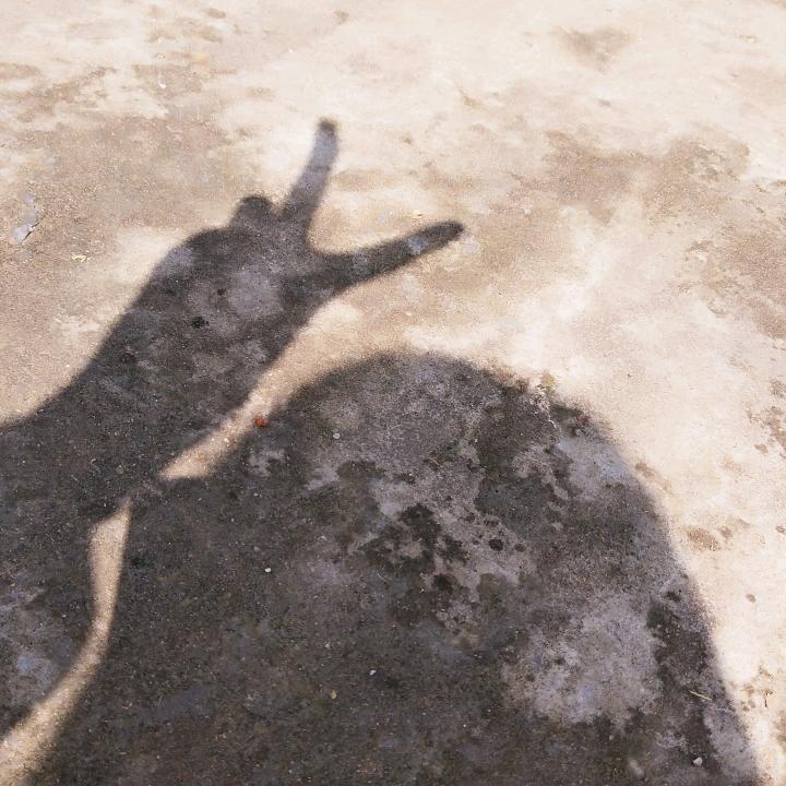预言家耶