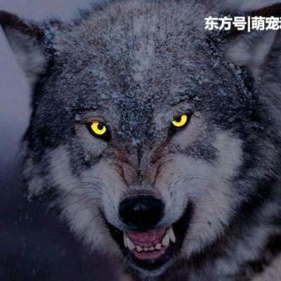 用户9009177459444王哥