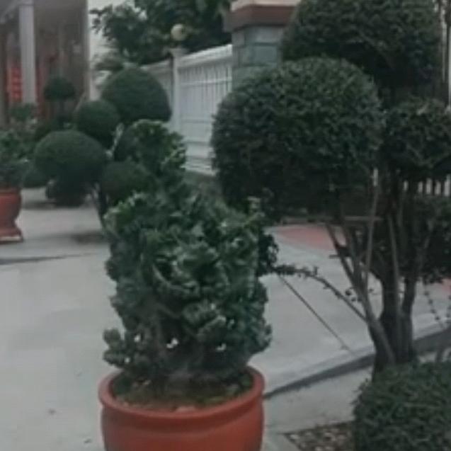 用户9421941585468