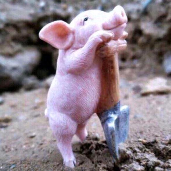 张高睿（无微不至）