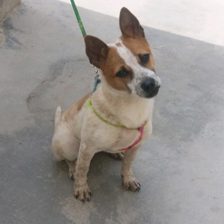 吃糖都不甜的年纪。