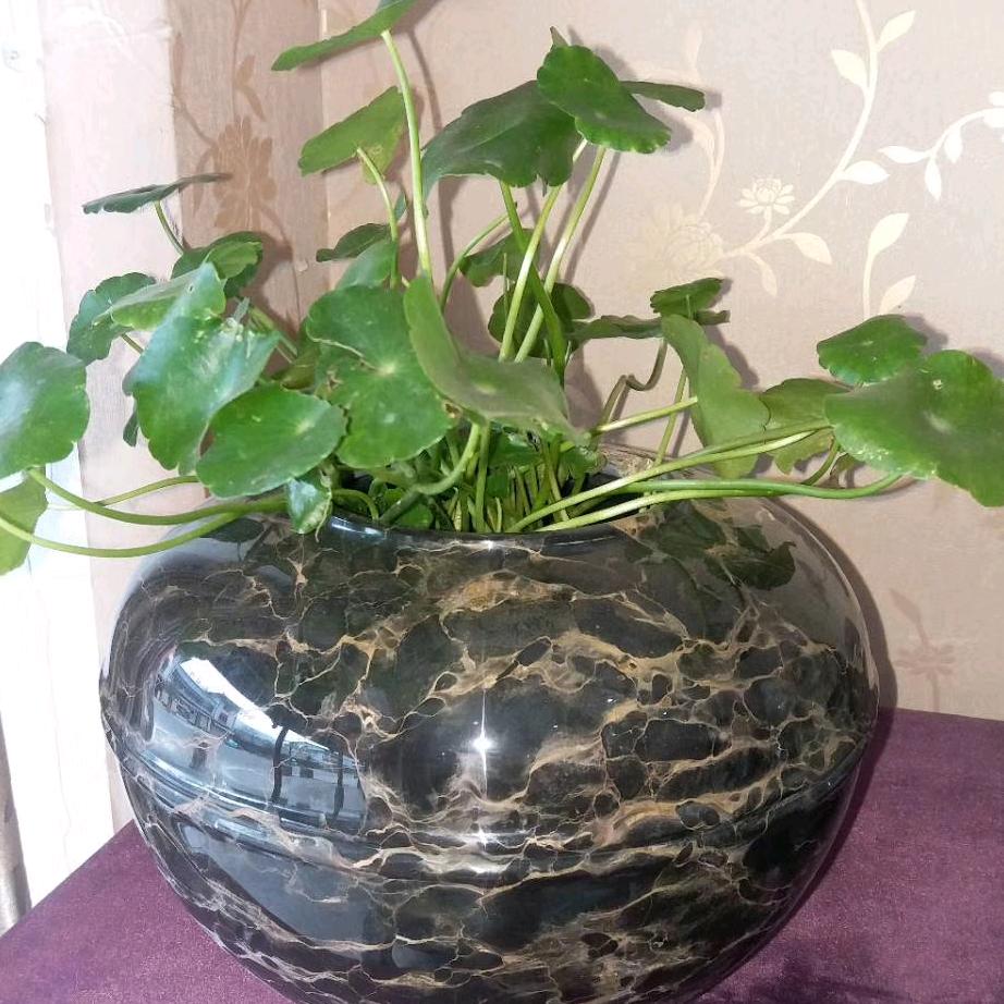 有缘根石艺