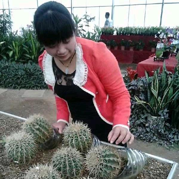 黄艳灵