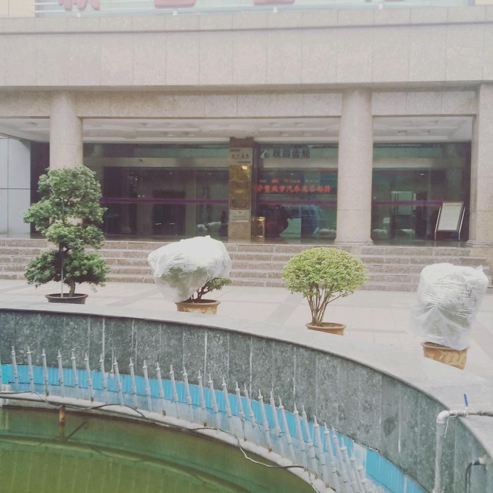 用户5705212473457鸽子