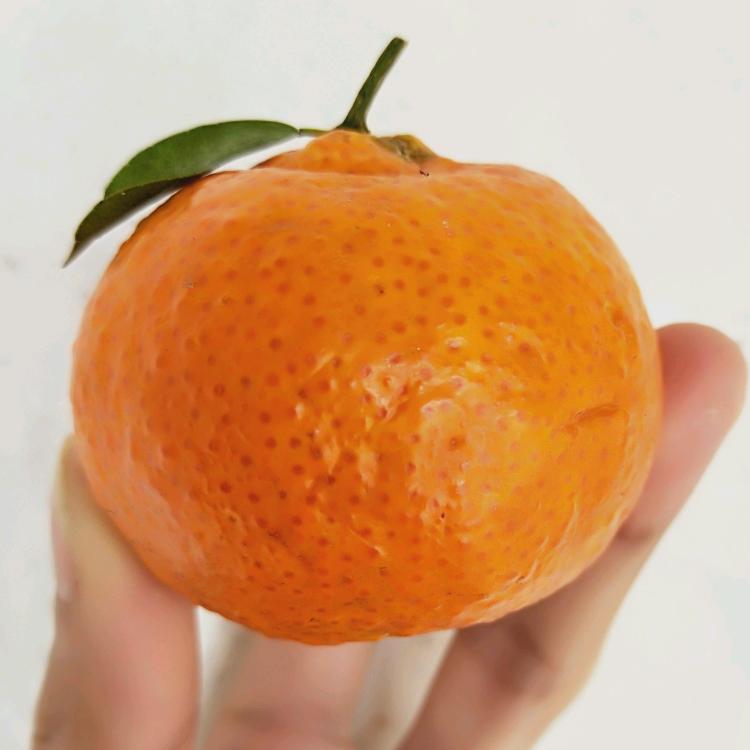 默默