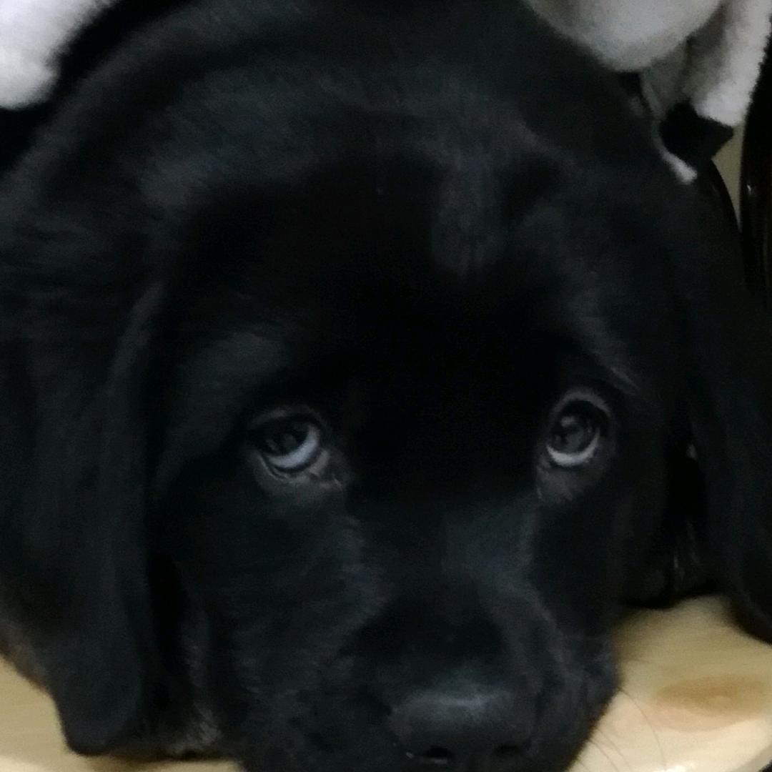 了 了