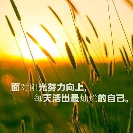 嘉兴水果批发档口直营