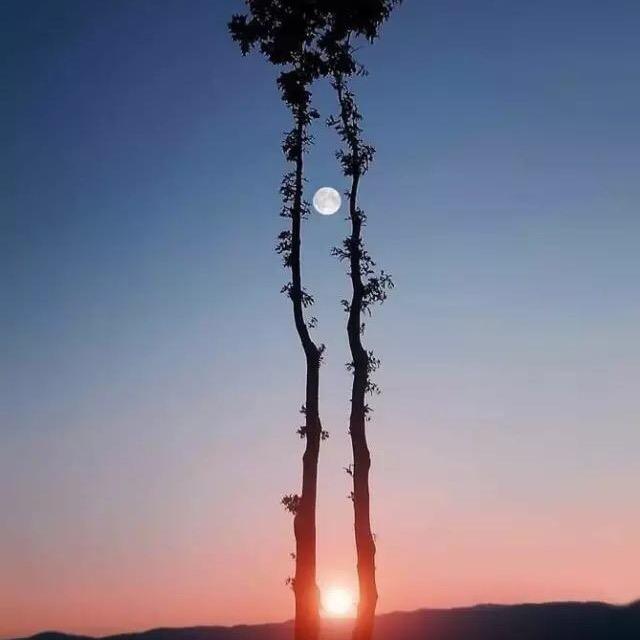 郭