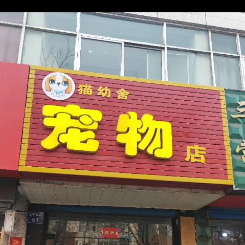 石嘴山市大武口区猫幼舍宠物店