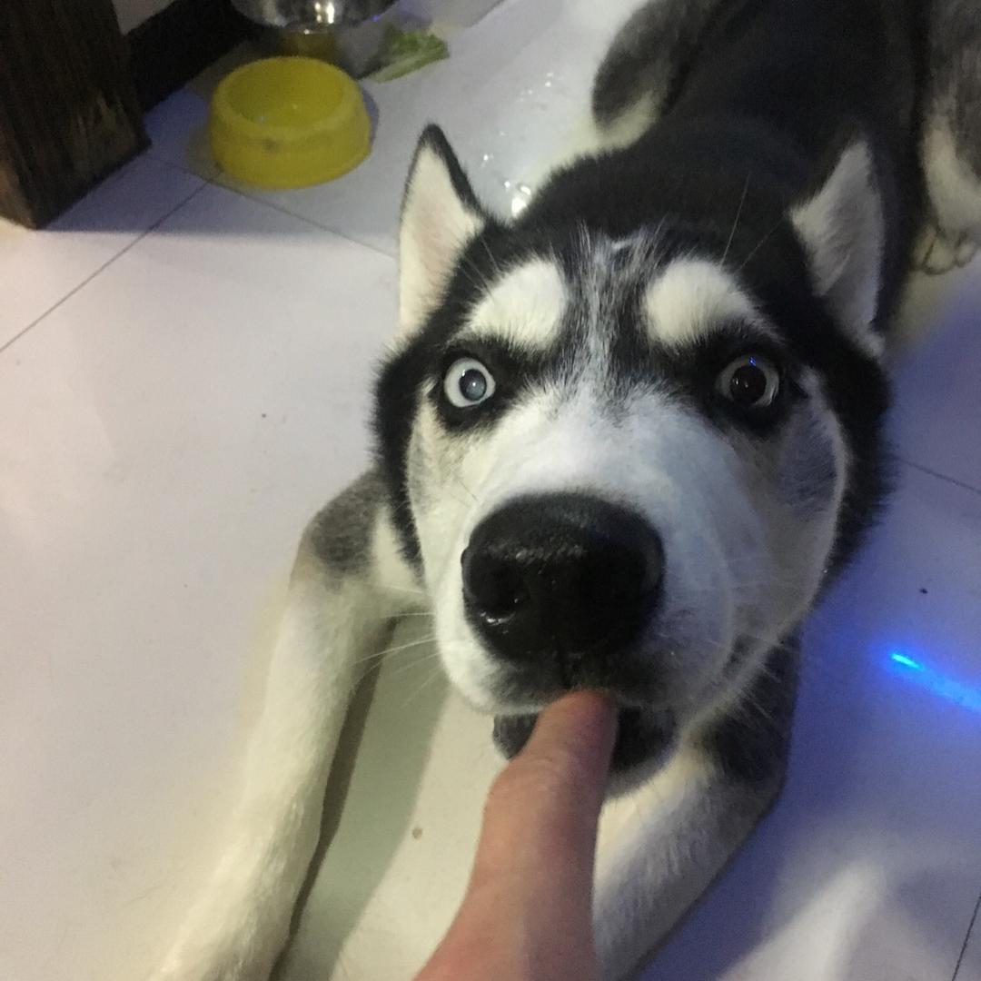 爸爸的爸爸叫爷爷