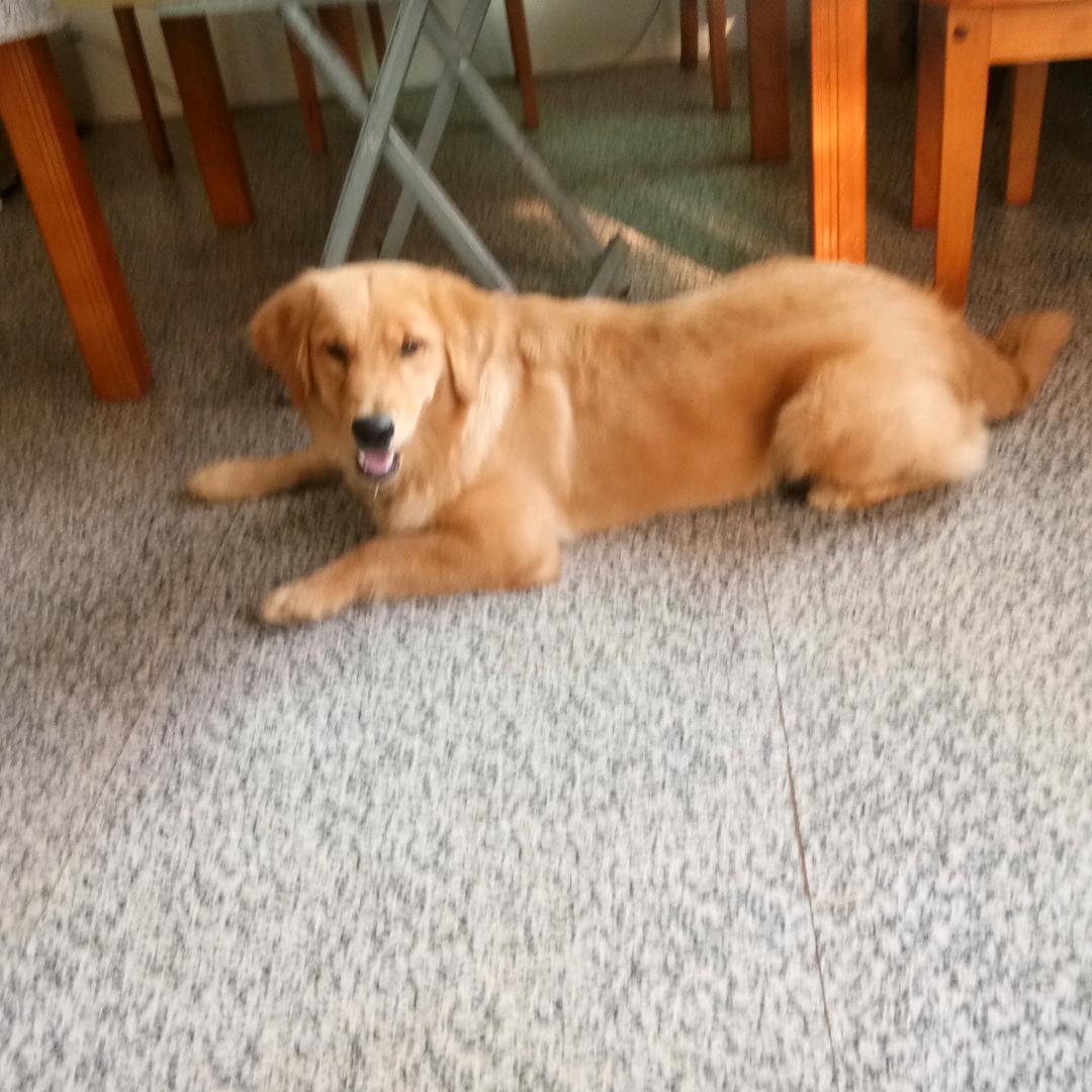 歪歪♥