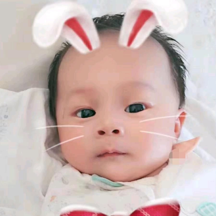 bb