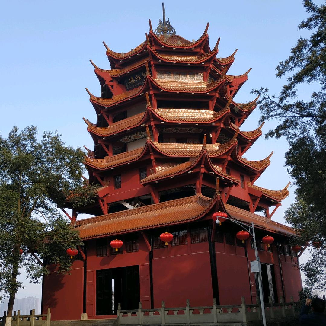 建院大厨