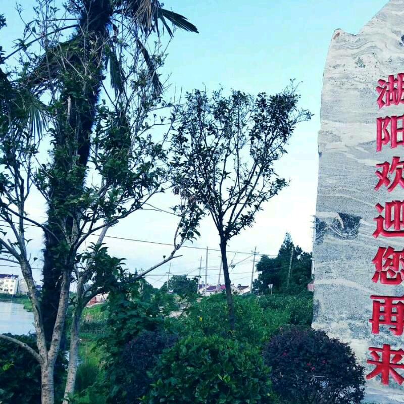 随后