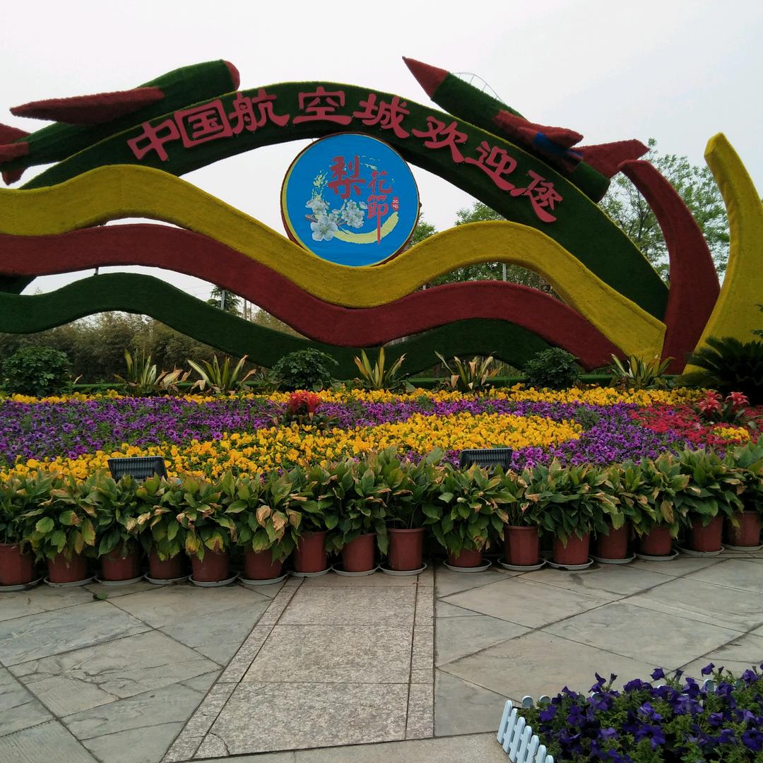 小李传说