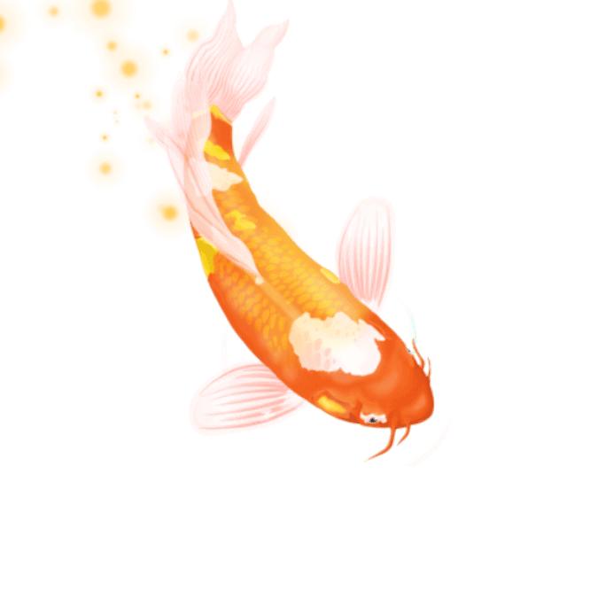 拦不住