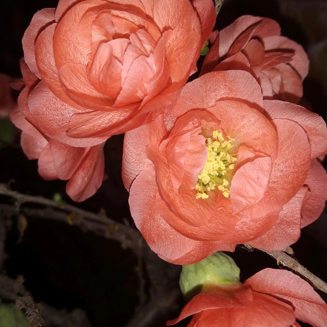 风的季节