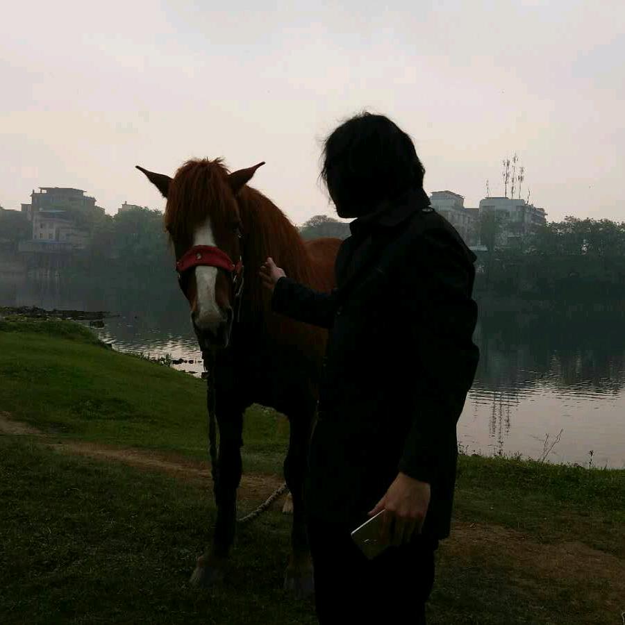 吴风之画马