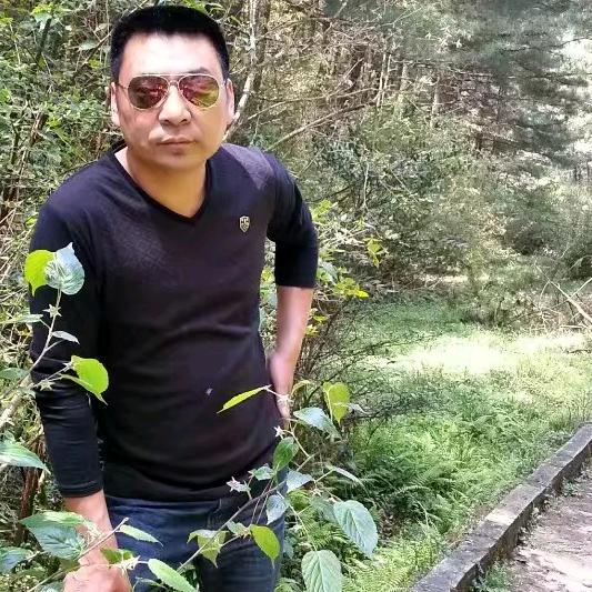 白土长途客运