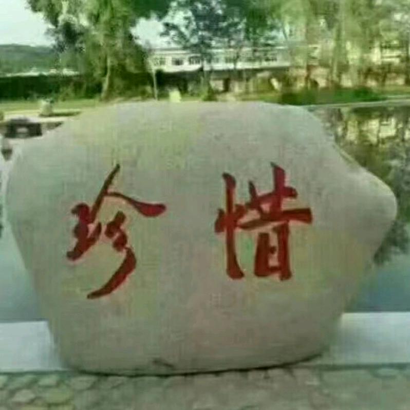 捡瓶瓶