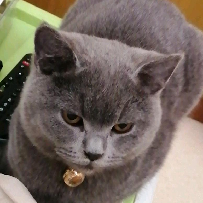 意诚铝门