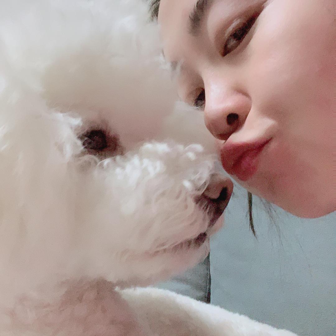 🐾肥嘟嘟左卫门🐾